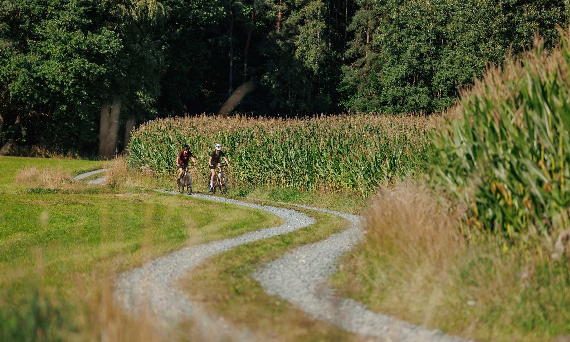 Zwei Mountainbiker auf CUBE Attention Hardtails auf einem Schotterweg am Feldrand