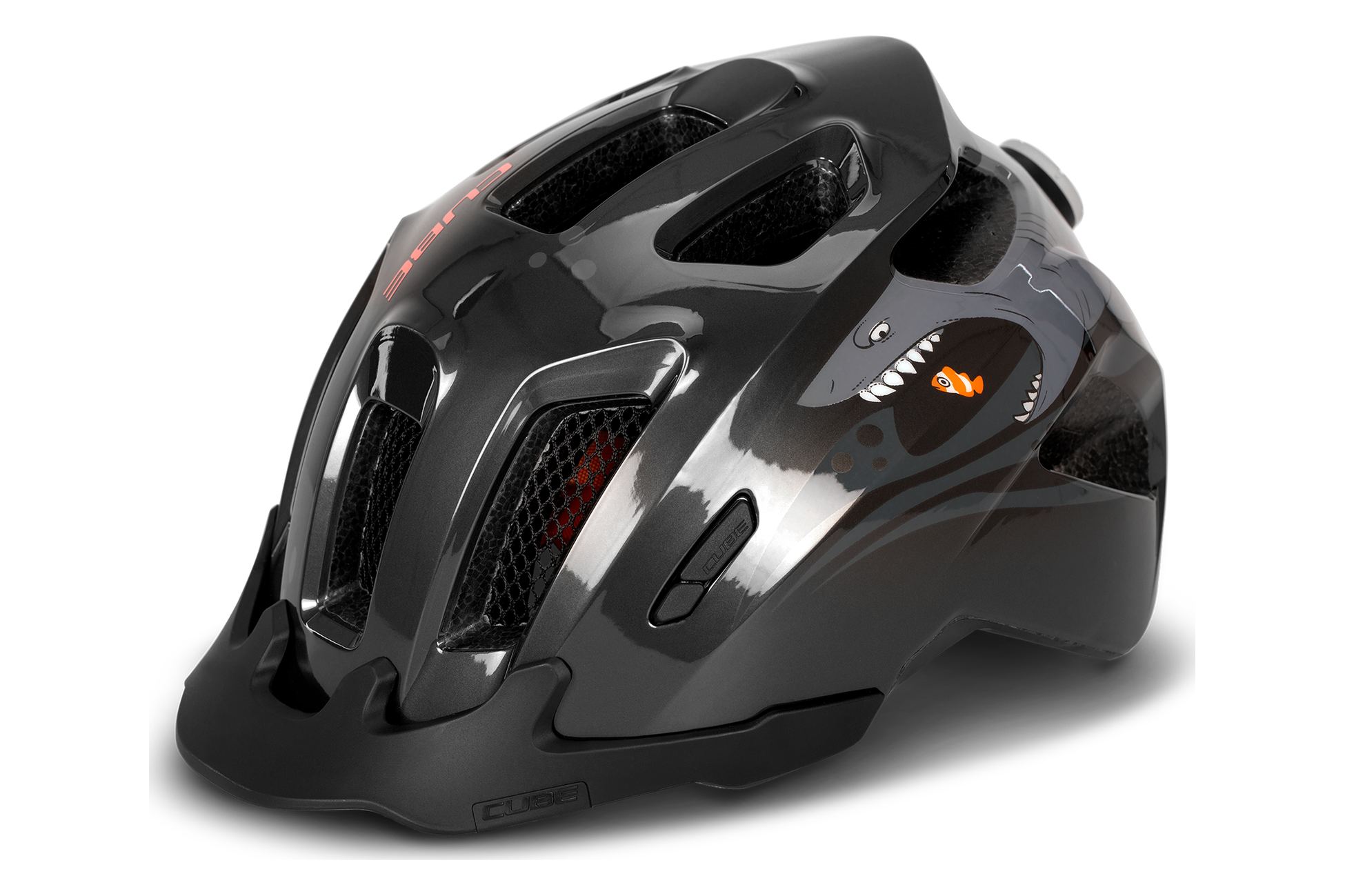 Helm ANT