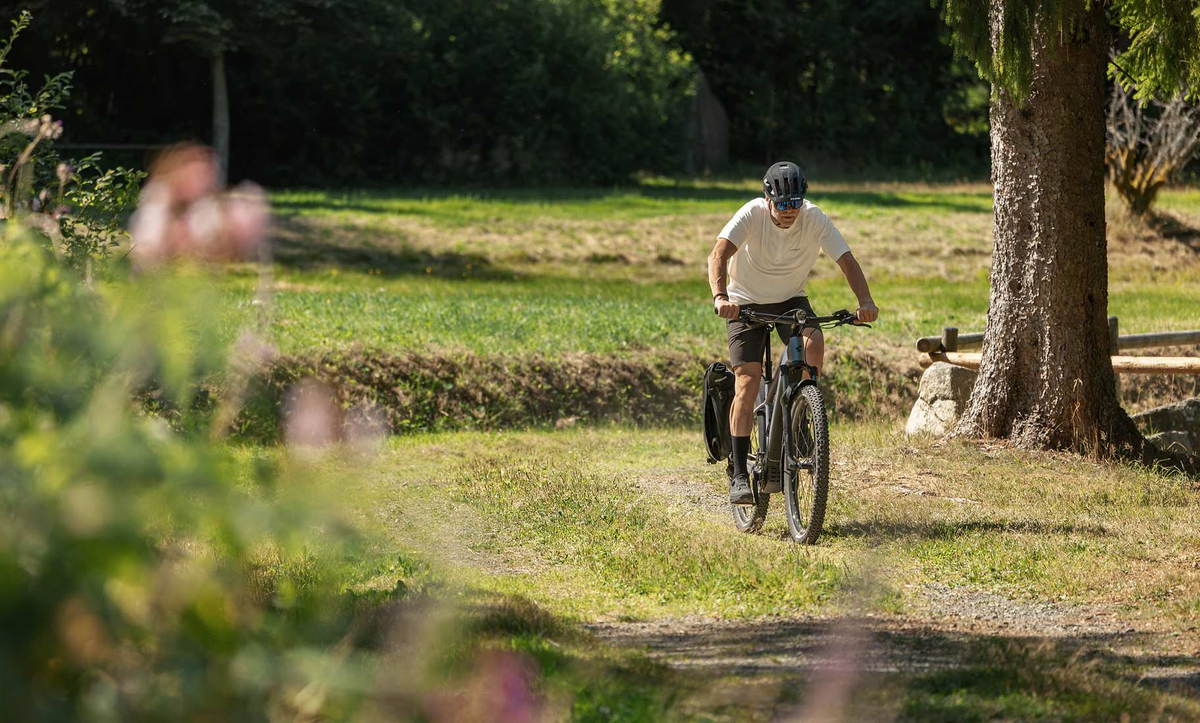 CUBE E-MTB Hardtail 2027 auf einem Wiesenweg am Waldrand