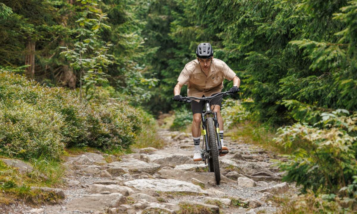 CUBE Reaction 2027 Hardtail auf einem felsigen Waldtrail