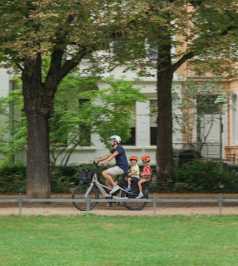 E Bike Transport