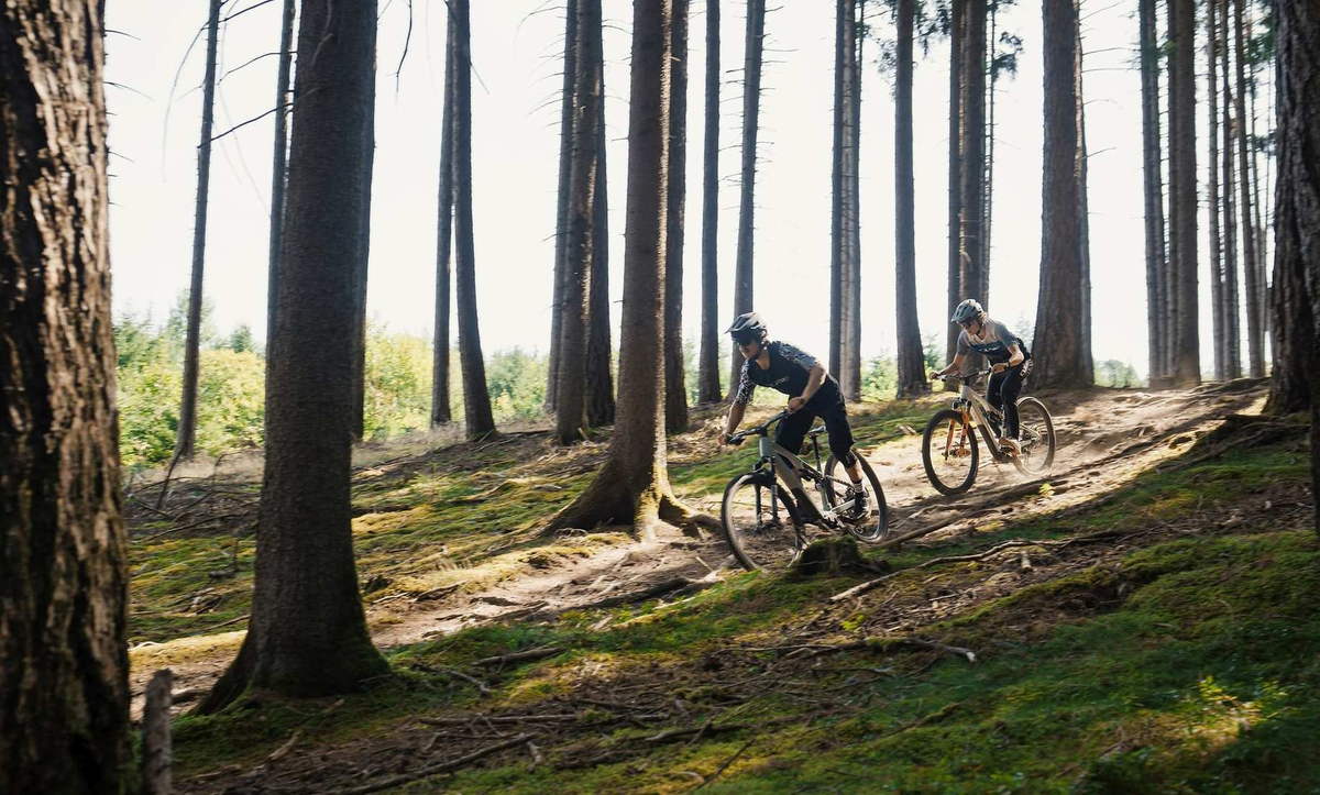 CUBE AMS Hybrid ONE44 2027: zwei Fahrer auf einem Waldtrail zwischen hohen Fichten im Gegenlicht
