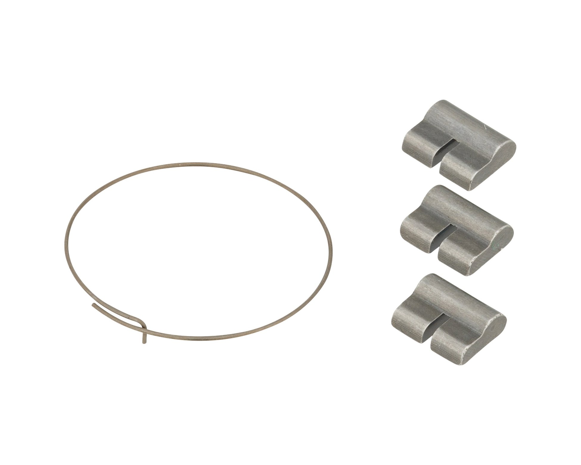 Fade MTB Pawl set incl. Spring