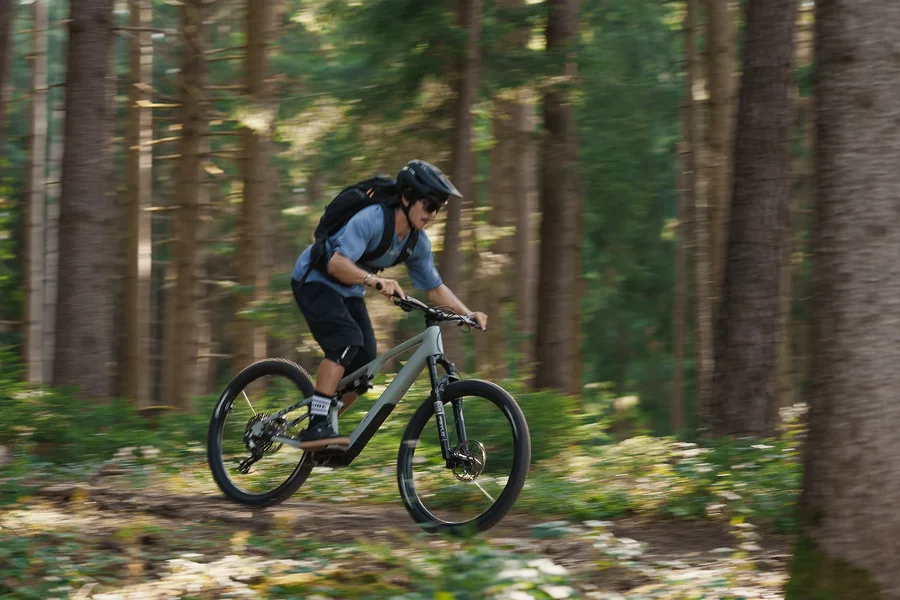 Fahrer auf einem CUBE AMS Hybrid in schneller Fahrt auf einem Waldweg zwischen Nadelbäumen, Bewegungsunschärfe im Hintergrund