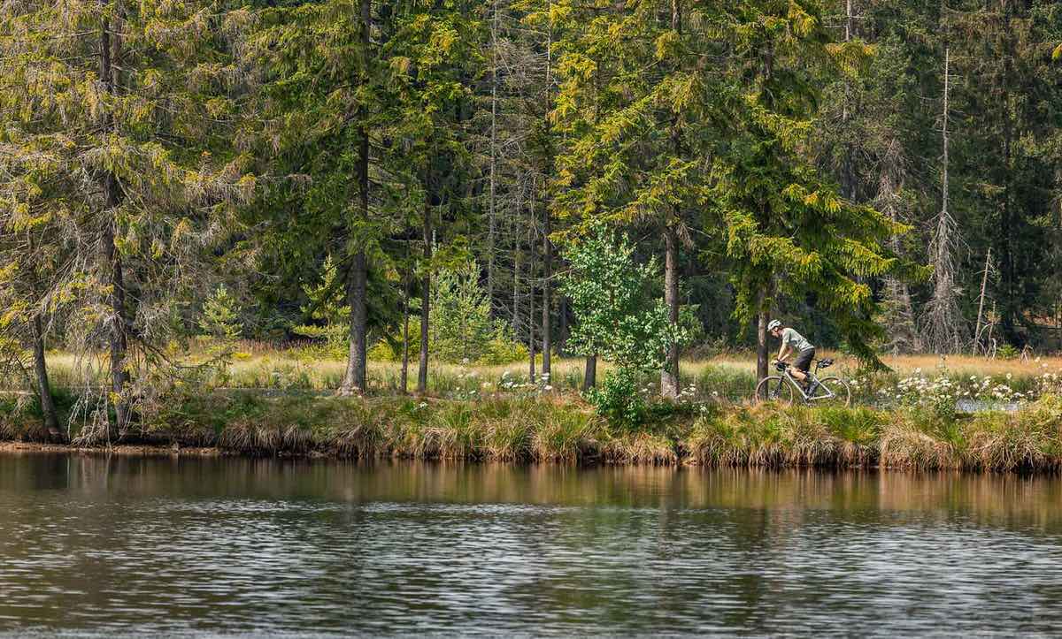 CUBE Nuroad 2027: Fahrt am Ufer eines Waldsees entlang der Bäume