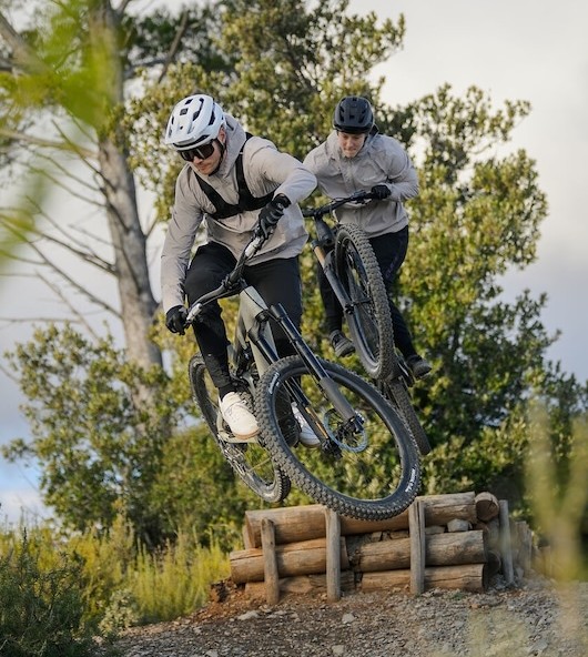 AMS